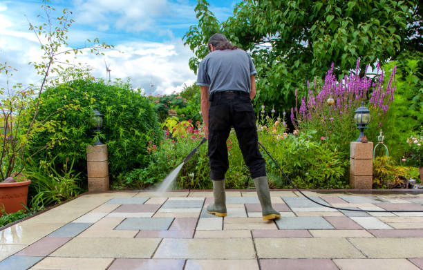 Best Sidewalk and Walkway Cleaning  in Whitewater, CA