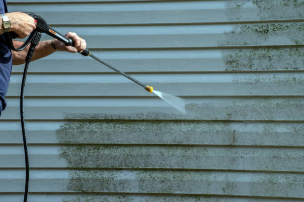 Best Building Exterior Washing  in Whitewater, CA