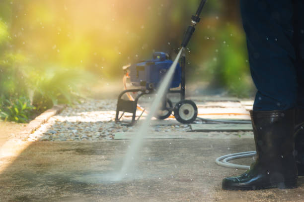 Best Roof Washing  in Whitewater, CA